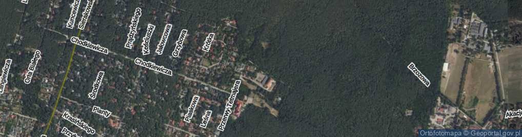 Zdjęcie satelitarne Brzozowa ul.